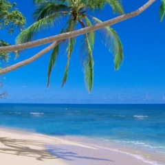 Александэр Semenov, 17.04, Казань