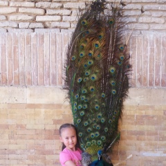 Акнура Атагельдиева