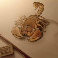 Даша Савельева, 30.10, Можайск