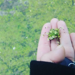 Аня Білецька, 05.02, Борисполь