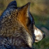 Сергей Сергеев, 28.06.1977, Уфа