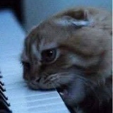 Лариса Дамиан, 17.11.1961, Кишинев