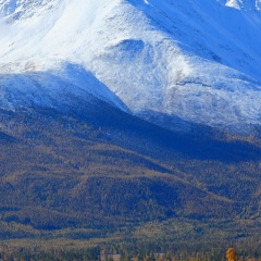 Alex Anp, Тверь