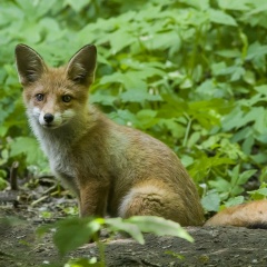 Галина Баранова, 18.05.1986, Санкт-Петербург