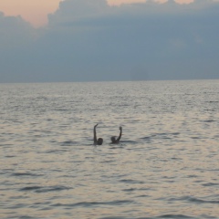 Givi Kublashvili, 07.11.1988, Кутаиси