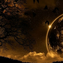 Максим Раль, 08.11.1983, Ровно