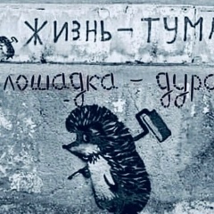 Елена Новоселова, Санкт-Петербург