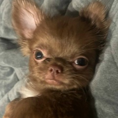 Наталья Донская, 13.11.1983, Иркутск