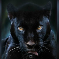 Olesya Muzyleva, 07.07, Санкт-Петербург