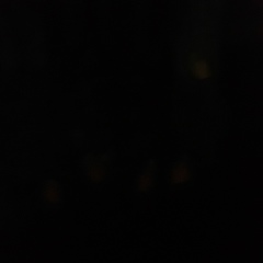 Женя Ли, 01.12.2004, Adelaide