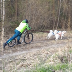 Алексей Дмитрик, 12.04.1984, Санкт-Петербург
