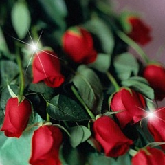 Молдир Мырзабекова, 13.02.1987, Алматы