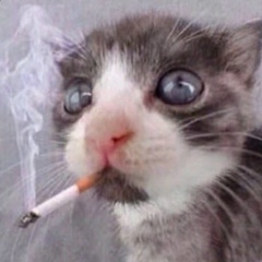 Артём Мохов, 05.05, Москва