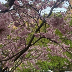 София Сереброва, 30.09, Санкт-Петербург