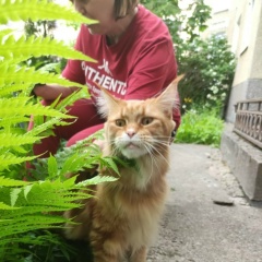 Надежда Краснощекова, 29.11, Санкт-Петербург