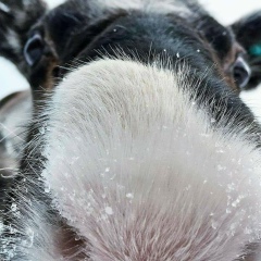Nik Karpenko, 03.05.1975, Киев