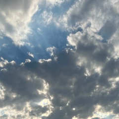 Анастасия Власенко, 09.08.1989, Москва