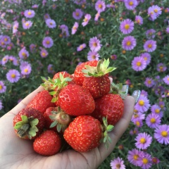 Лея Вельман, 27.05, Москва