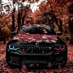 Shms Is, 27.11.1991, Грозный