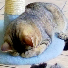 Виталий Мысин, 09.08, Санкт-Петербург