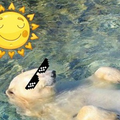 Михаил Суханов, 04.11.1988, Москва