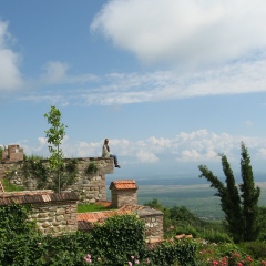 Юлия Старчак