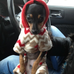 Серега Никитушкин, 24.10, Новосибирск