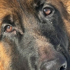 Elena Manturova, 05.05.1981, Санкт-Петербург