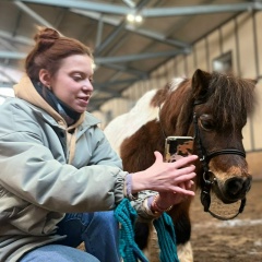 Ася Истомина, Санкт-Петербург