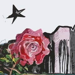 Аннушка Селиванова, 19.06, Москва