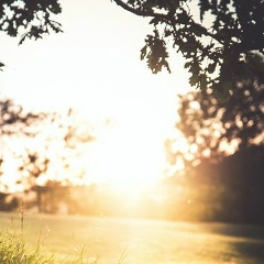 Егор Гуляев, 18.02.1985, Пермь