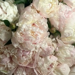 Кристина Ломзина, 19.01.1988, Москва