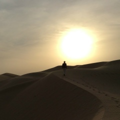 Александр Емельянов, Санкт-Петербург