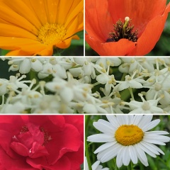 Talgat Zhorabaev, 06.08.1985, Алматы