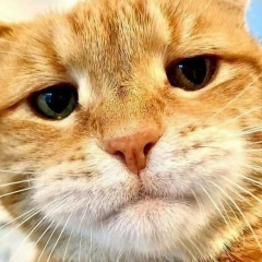 Максим Геннадьевич, 02.11, Ивантеевка