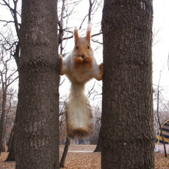 Андрей Пищальников, 26.05, Новосибирск