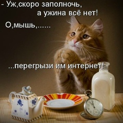 Даня Поваров, Псков