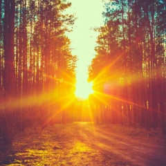 Алена Михайлова, 21.03, Нижний Новгород