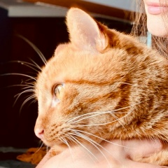 Екатерина Тараненко, Калининград