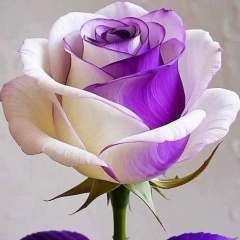 Катя Морозова, 05.08, Санкт-Петербург