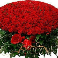 Халинур Бакирова