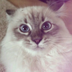 Светлана Кутуева, 02.09, Санкт-Петербург