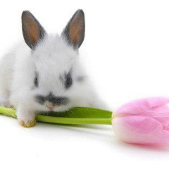 Анюта Лаврега, 31.01.2000, Киев