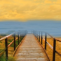 Андрей Шершнёв, 12.08.1983, Днепр (Днепропетровск)