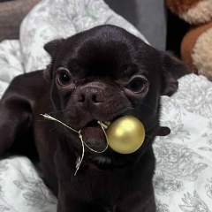 Марина Сыромятникова, 10.06.1975, Санкт-Петербург