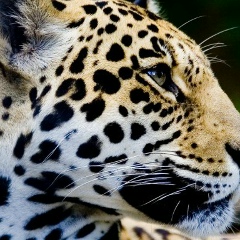 Анюта Коваль, 16.05.1989, Одесса