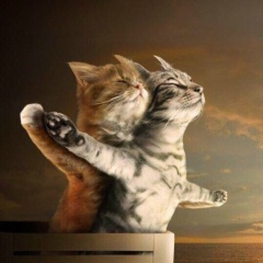 Жулдыз Елекешова, 14.08.1995, Кызылорда