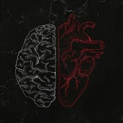 Мушвиг Шамкирли, 16.08