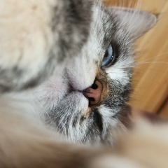 Наталья Беляева, 13.09, Санкт-Петербург