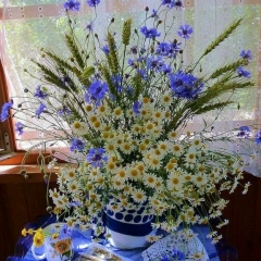 Владимир Романовский, 22.07, Санкт-Петербург